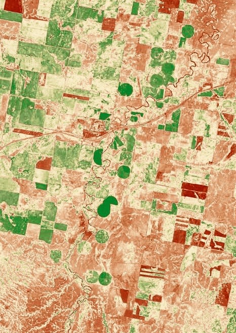 Vegetation Change